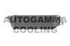 AUTOGAMMA 103748 Intercooler, charger